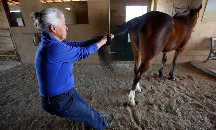 Dünyada dünden bugüne yaşananlar - Resim: 4