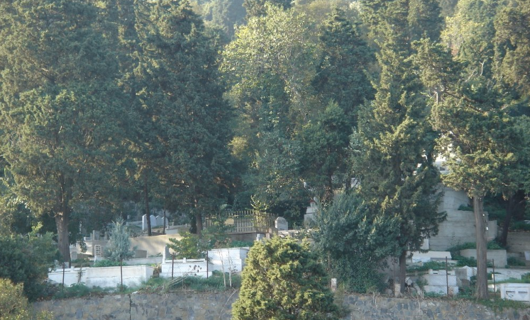 İstanbul mezarlık fiyatları dudak uçuklattı İBB verilerine göre en yükseği 100 bin TL - Resim: 2