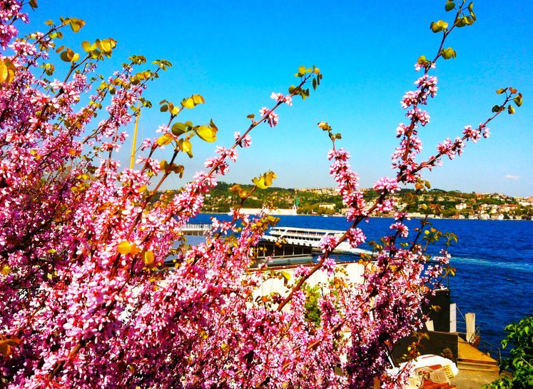 Hava durumu için kritik uyarı Meteoroloji'den son tahminler - Resim: 2
