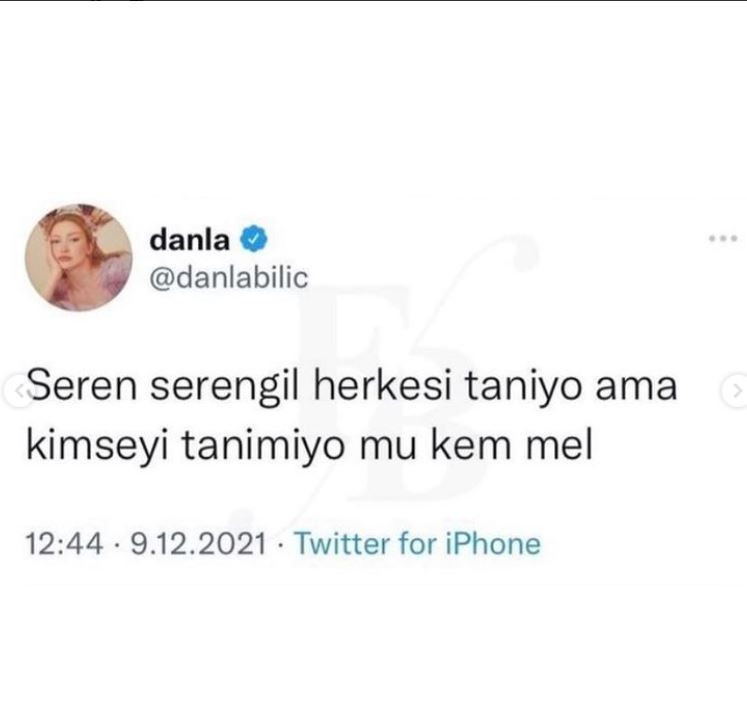 Danla Biliç ve Seren Serengil birbirine girdi: Köpeğim noy noy bile sizden daha ünlü! - Resim: 3