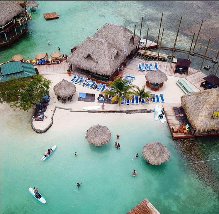 Cesaretin böylesi tehlikeli jaguarlarla yüzüp fotoğraflar çekiliyorlar - Resim: 1