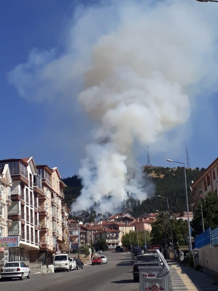 Ankara'da ormanlık alan alevlere teslim oldu - Resim: 4