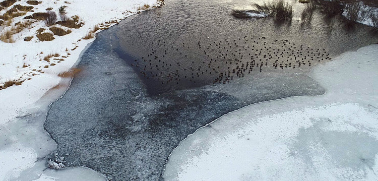 Gölün yüzeyi buz tuttu ortaya kartpostallık görüntüler çıktı - Resim: 4