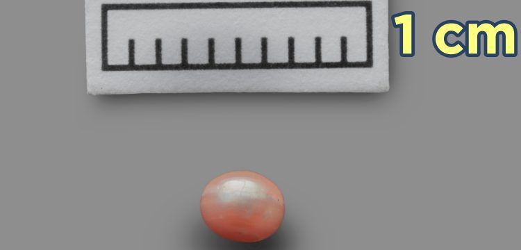 Dünyanın en eski doğal incisi' Abu Dabi'de bulundu! 8 bin yaşında - Resim: 1