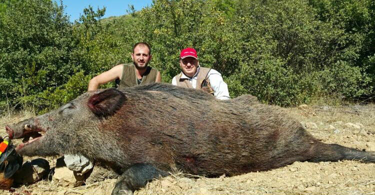 Yaban domuzunu görenler şaşkına döndü - Resim: 2