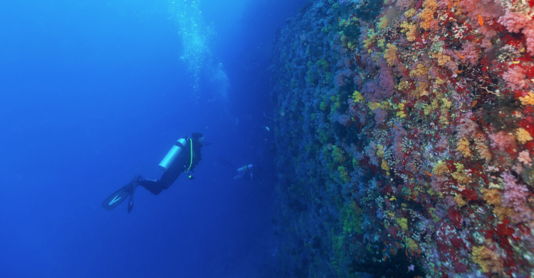 Bilim insanlarından korkutan keşif! İnsanlar için zehirli yeni bir canlı türü - Resim: 2