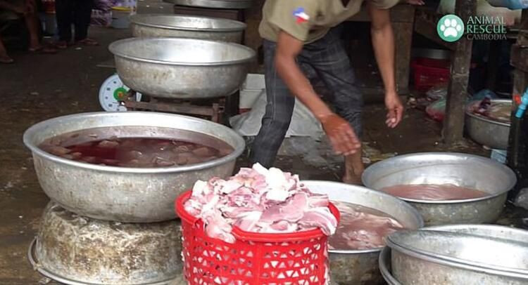 Hayvan pazarlarında iğrenç manzaralar! Koronavirüse rağmen hala yiyorlar - Resim: 1