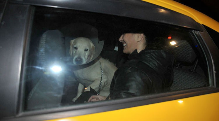 Meltem Cumbul hakkında şok iddia oyuncu beğenmedi! - Resim: 4