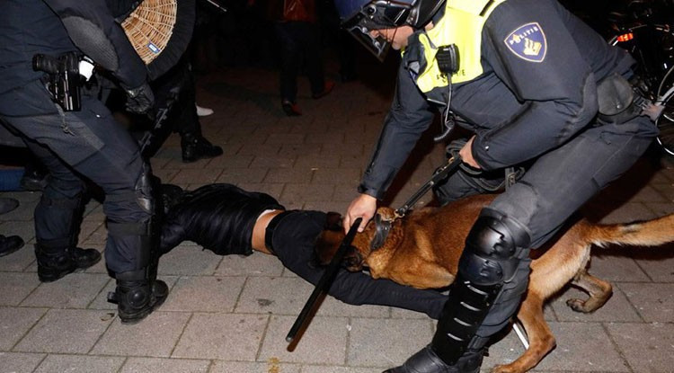 Hollanda köpeklerinin saldırdığı Türk bakın kim çıktı! - Resim: 4