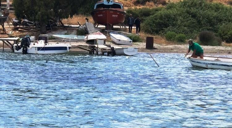 Muğla'da köpek balığını işkence ederek vahşice öldürdüler - Resim: 3