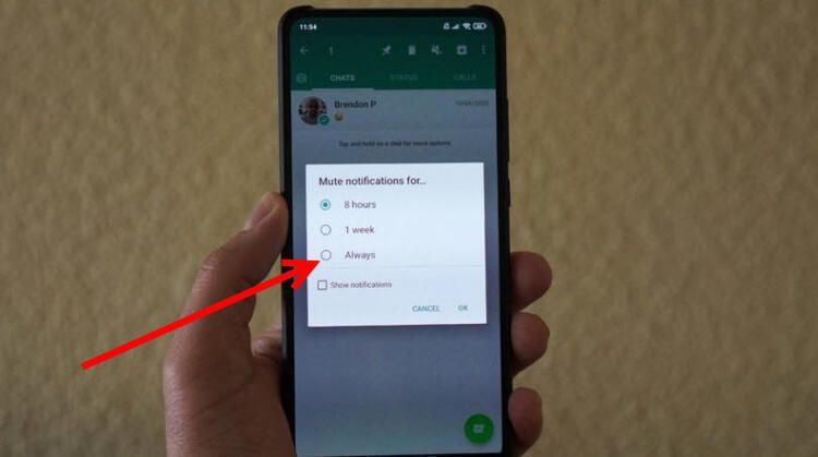 Bu sabahtan itibaren başladı! İşte Whatsapp'ın yeni bombası - Resim: 2