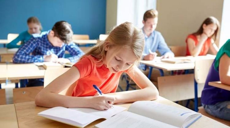 TEOG soruları ve cevap anahtarları 2017 eba.gov.tr - Resim: 4