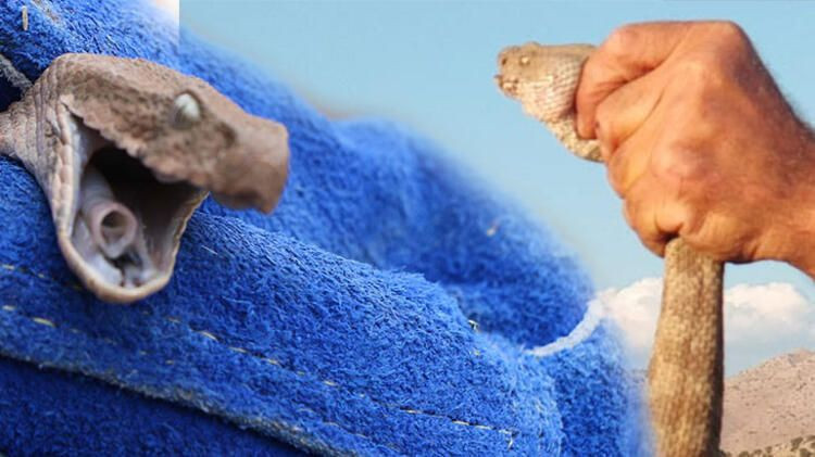 Şanlıurfa'da yılanlar ortaya çıktı çocuğun eli kesilmekten son anda kurtuldu - Resim: 1