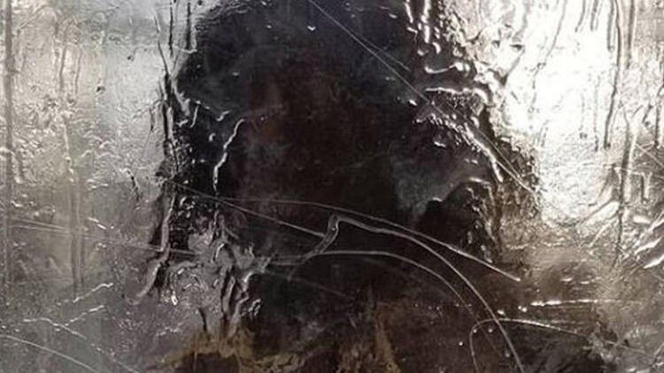 Parkta donmuş halde 'mağara adamı' bulundu! Meğer gerçek çok başkaymış - Resim: 1