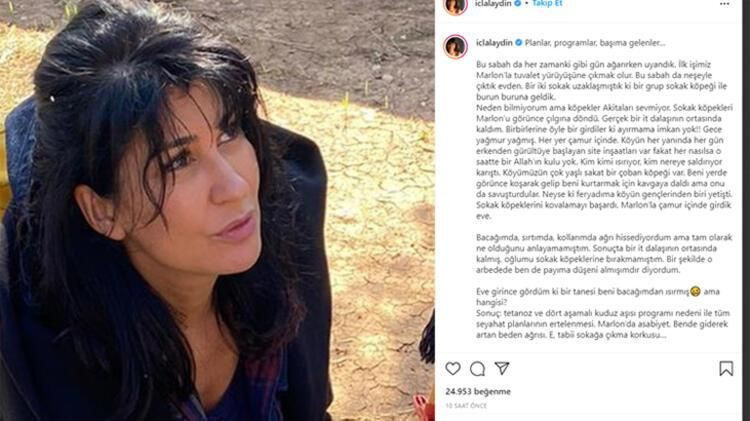 İclal Aydın'ın korku dolu anları! İt dalaşından köyün gençleri kurtardı - Resim: 2