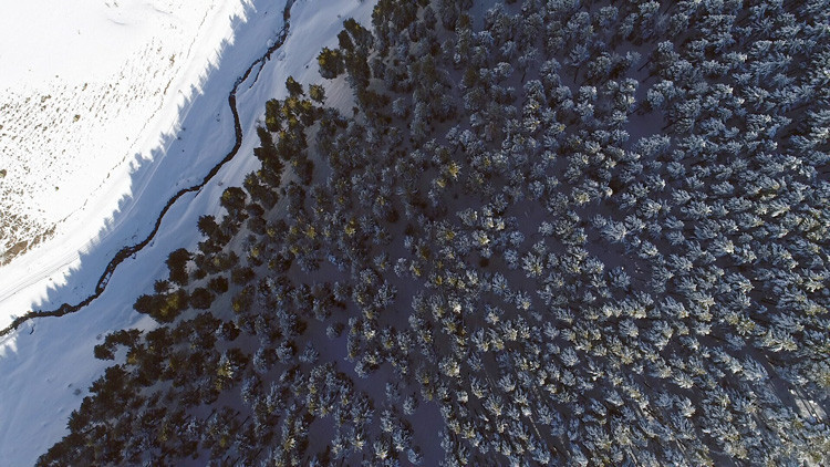 Sarıçam ormanlarının havadan görüntüleri büyüledi - Resim: 3