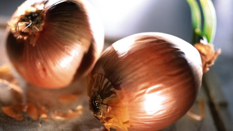 Boyna soğan bağlamanın faydaları - Resim: 2