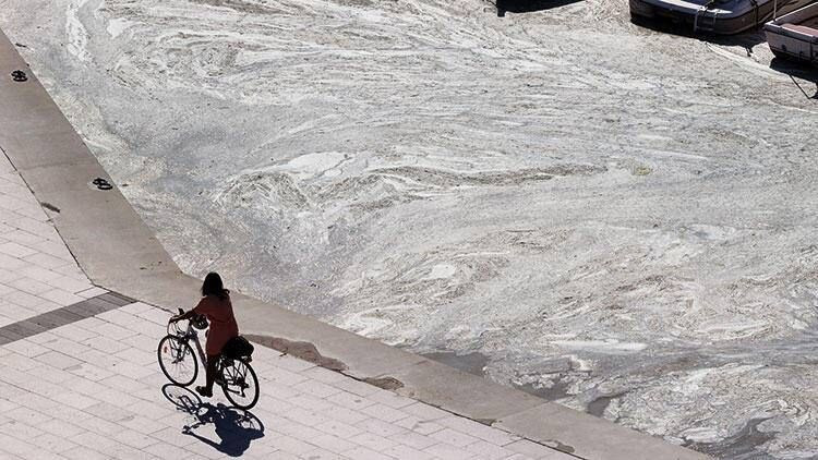 Marmara Denizi'nin kurtuluş reçetesi! İşte 4 maddede deniz salyasını bitirme yöntemi - Resim: 1