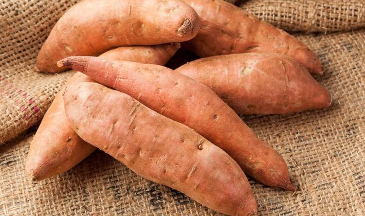 En besleyici yiyecek hangisi? Bilim insanları cevabını buldu! - Resim: 3