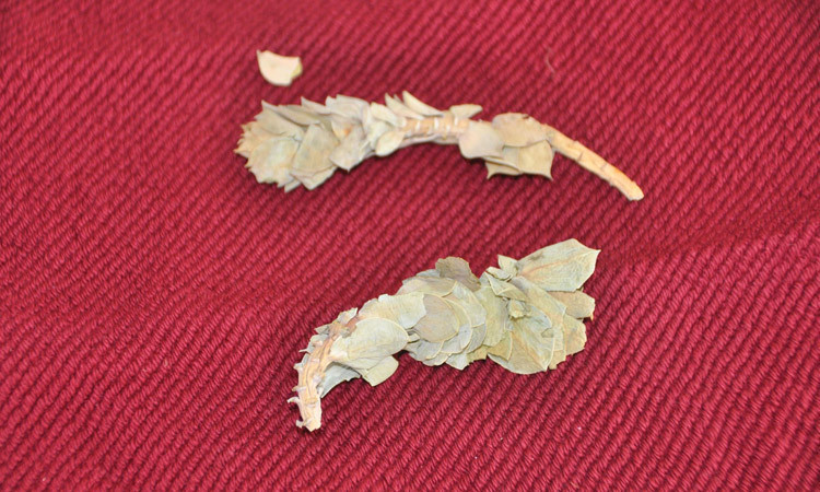 Liseli Ayşenur'un büyük başarısı! Isıya dayanıklı kumaş üretti - Resim: 4