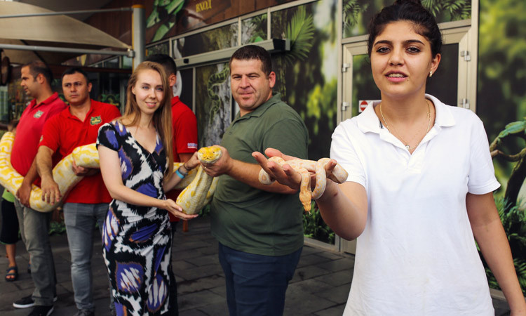 41 yavru piton ziyaretçilerin ilgi odağı oldu - Resim: 2