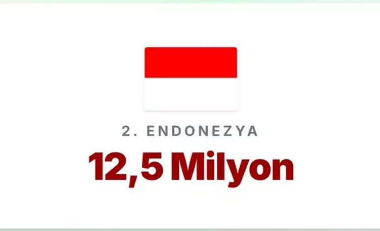 En çok memurun yaşadığı ülkeler açıklandı! Türkiye'de kaç memur var? - Resim: 27