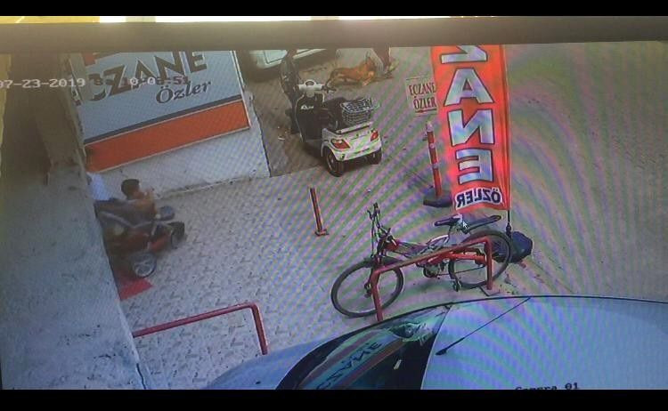 Adana'da hamile kediyi Pitbull'a parçalattılar twitter ayağa kalktı - Resim: 1