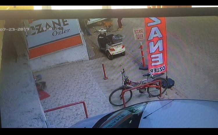 Adana'da hamile kediyi Pitbull'a parçalattılar twitter ayağa kalktı - Resim: 2