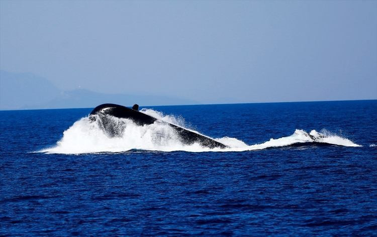Türkiye yerli füzeyi ilk kez kullandı dünya hayran kaldı - Resim: 2