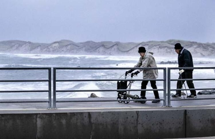 Danimarka şokta panik büyüyor! Kedilere sıçradı hepsi öldürüldü - Resim: 3