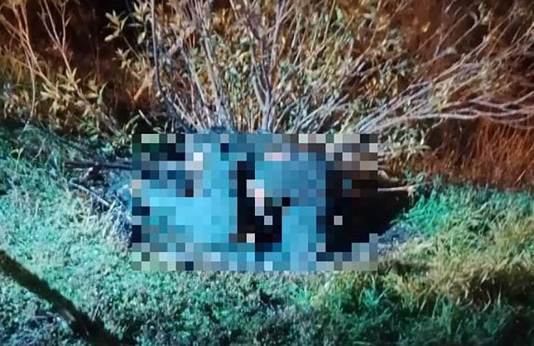 İzmir'de cesedi valize konulup yakıldı! Korkunç cinayet ekipleri alarma geçirdi: Öldürülen kişinin kimliği belli oldu - Resim: 1