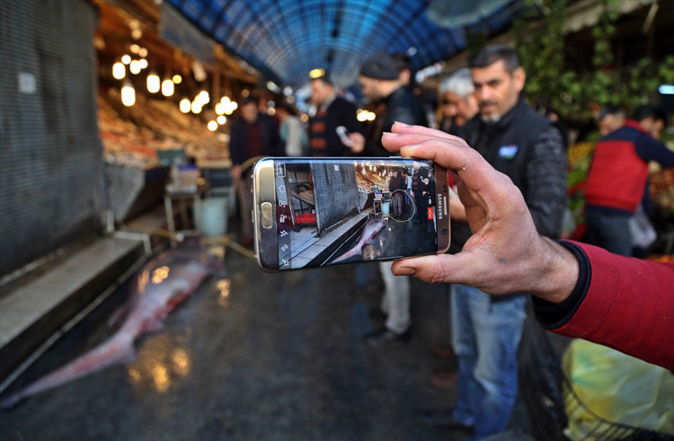 Mersin'de yakalandı tam 4 metre uzunluğunda  - Resim: 4
