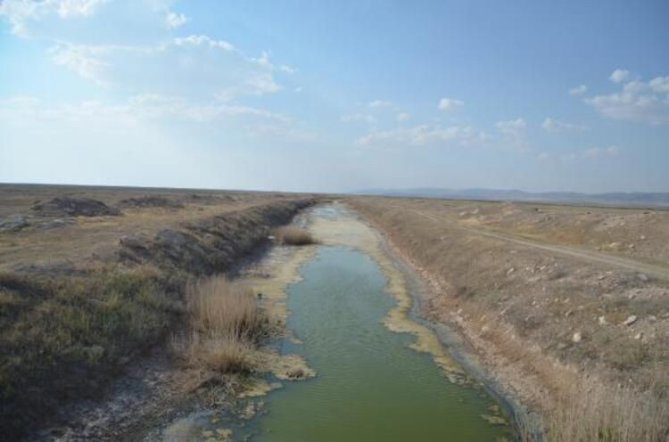 Çiftçiler Tuz Gölü'ne bent çekince yavru flamingolar öldü - Resim: 4