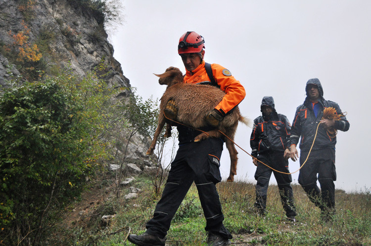 Bartın'da kayalıklarda mahsur kalan Bediş kurtarıldı - Resim: 2
