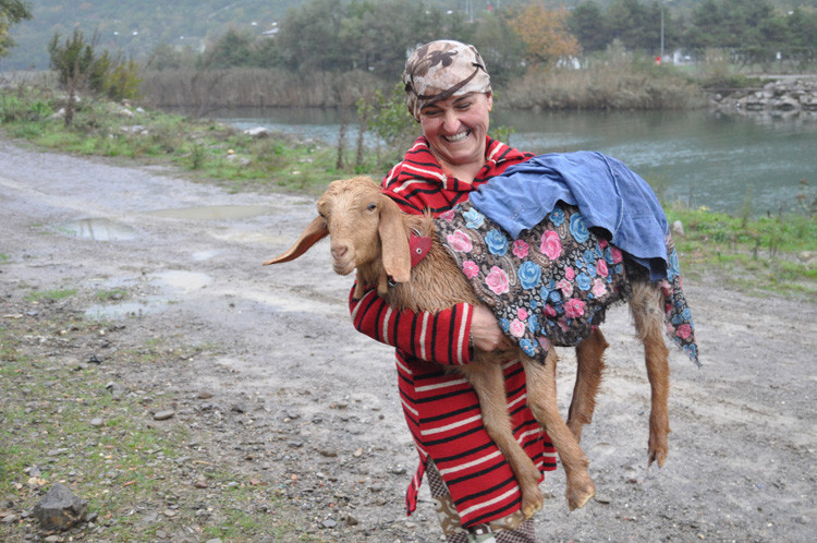 Bartın'da kayalıklarda mahsur kalan Bediş kurtarıldı - Resim: 4