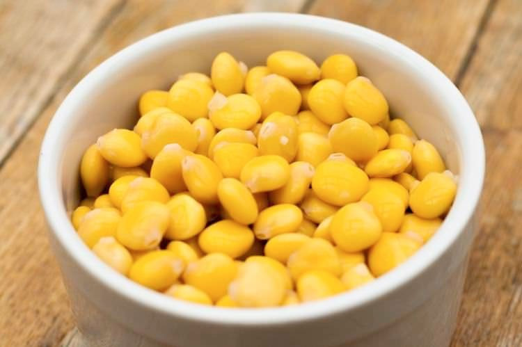 Termiye'nin faydaları saymakla bitmiyor! - Resim: 4