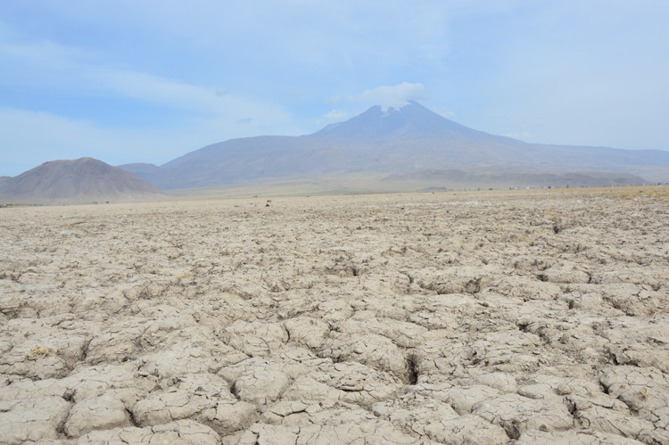 Ağrı Dağı eteklerindeki köylüler kuraklıkla mücadele ediyor - Resim: 2