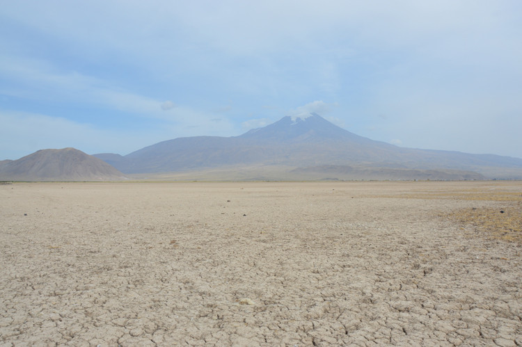 Ağrı Dağı eteklerindeki köylüler kuraklıkla mücadele ediyor - Resim: 3