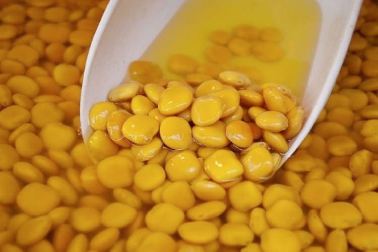 Termiye'nin faydaları saymakla bitmiyor! - Resim: 1