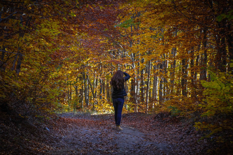 Kütahya'daki Domaniç Dağları fotoğrafçıları adeta büyülüyor - Resim: 1