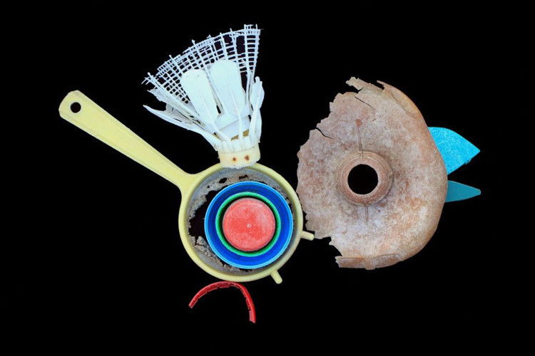 Yılın en iyi çevre fotoğrafçıları belli oldu - Resim: 4