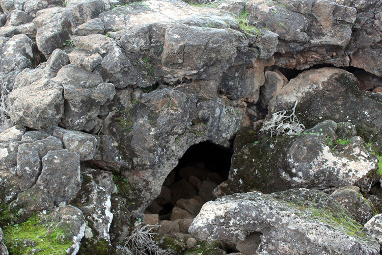 Hatay'daki lav tüpü mağaraları yabani hayvanlara "yuva" oldu - Resim: 4