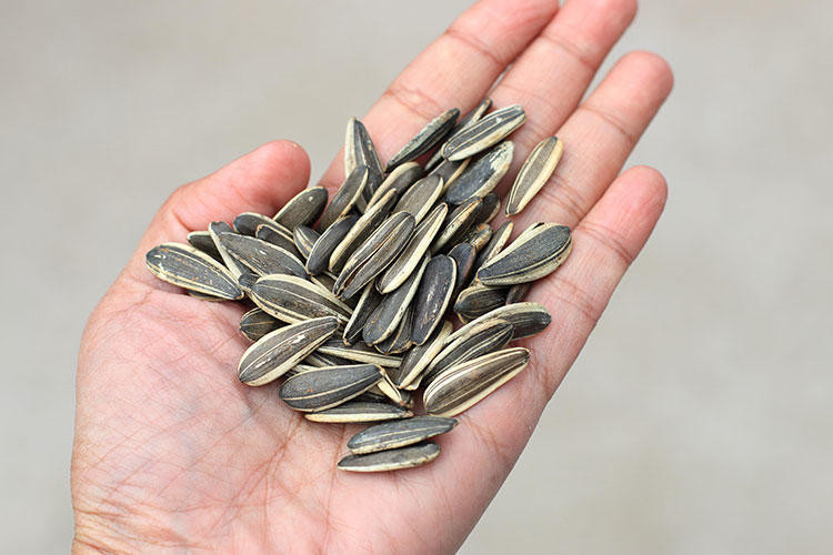 Daha mutlu hissetmenizi sağlayacak 10 yiyecek - Resim: 1