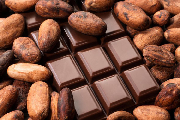 Çikolata ve kahve severlere kötü haber: Yakında yok olacaklar! - Resim: 3