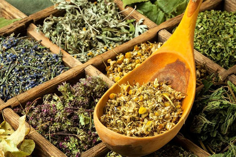 Hemen tanışmanız gereken 5 şifalı ot - Resim: 1