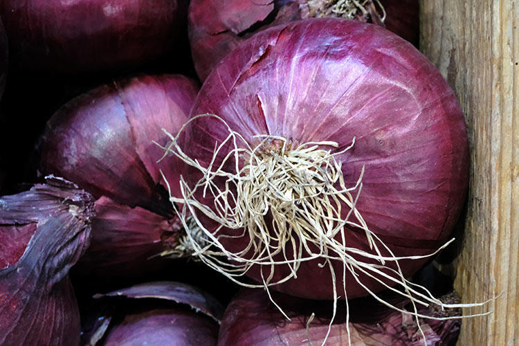 Asla çöpe atmamanız gereken yiyecekler - Resim: 2