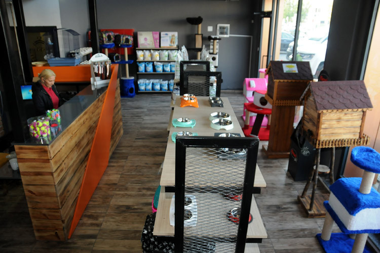 Otelin böylesi görülmedi kedilere hizmet veriyor kral dairesi bile var! - Resim: 1