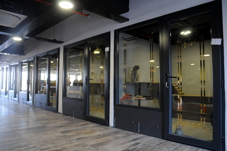 Otelin böylesi görülmedi kedilere hizmet veriyor kral dairesi bile var! - Resim: 2