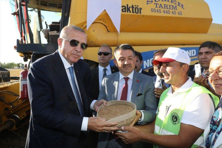 Cumhurbaşkanı Erdoğan, Hasat Bayramı'nda biçerdöver kullandı - Resim: 1
