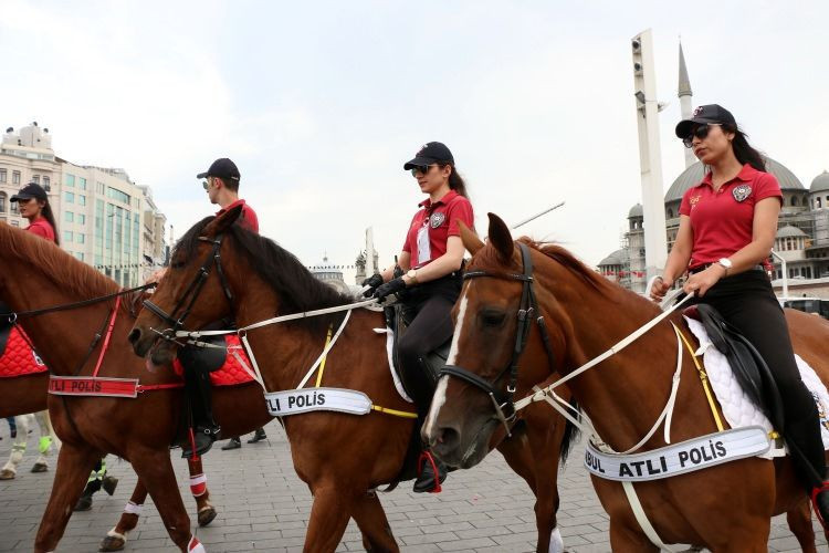 İngilizler atlı polislerimize hayran kaldı! - Resim: 3